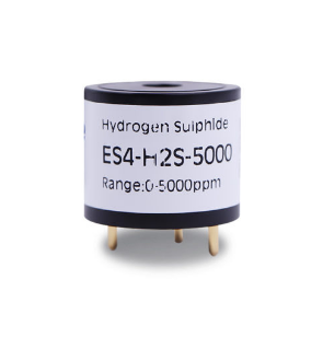 ES4-H2S-5000