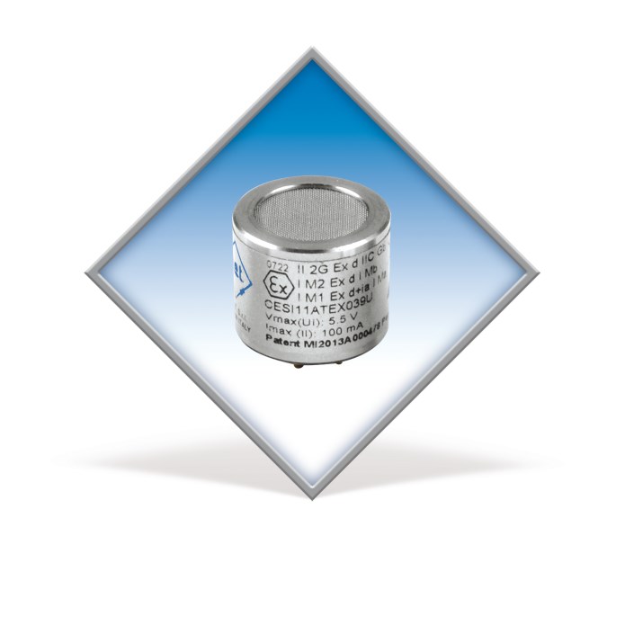 INP20-CH4 Dr-EX