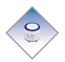 NT-H2S-PL100