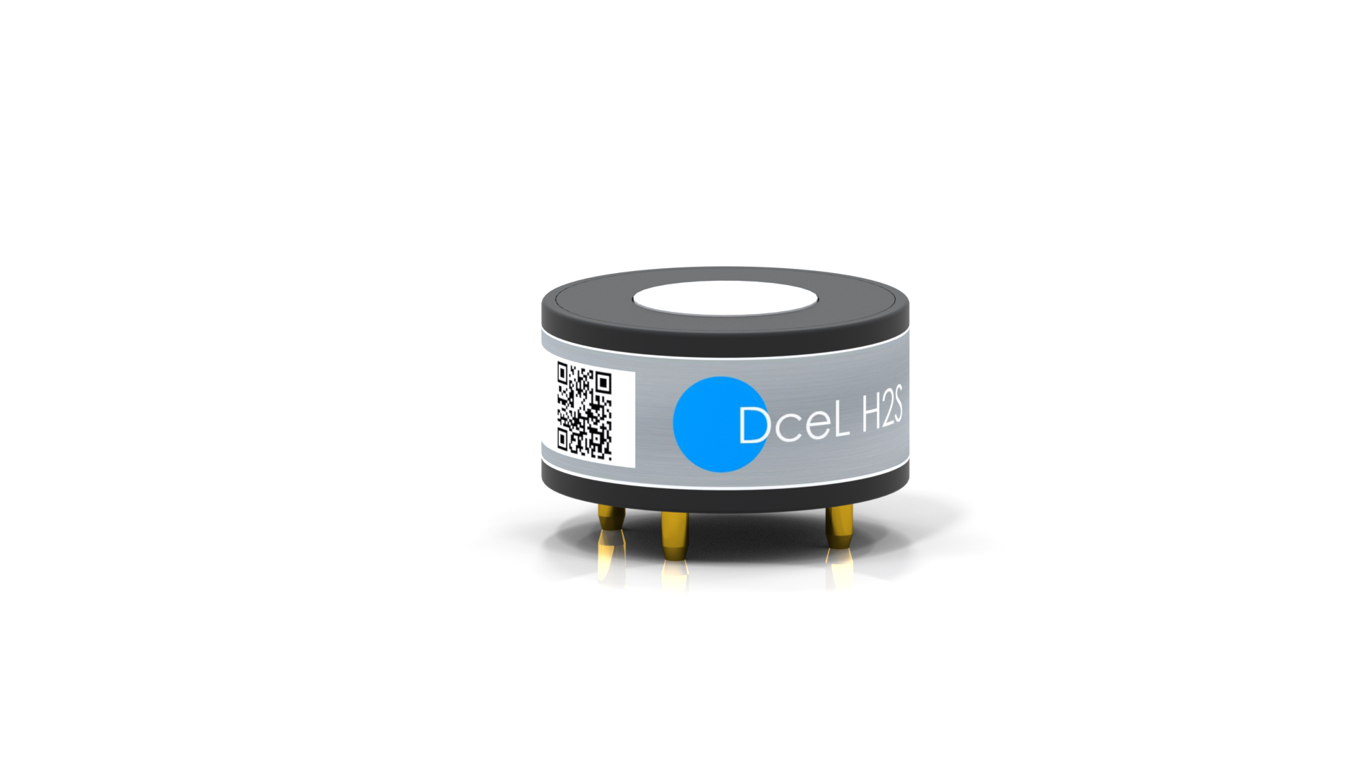 DceL H2S