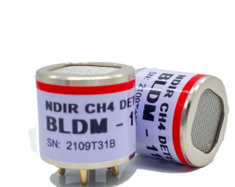 BLDM-118- (CH4-0-100%LEL)-EV-38400