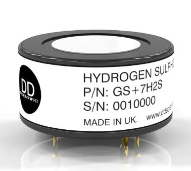 GS+7H2S-HO