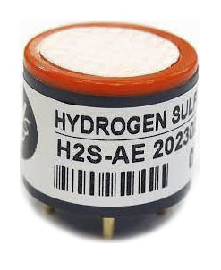 H2S-AE