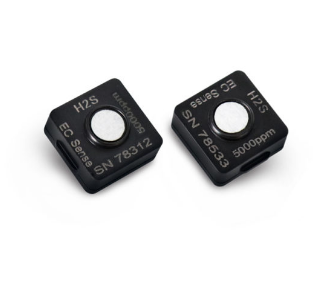 ES1-H2S-5000